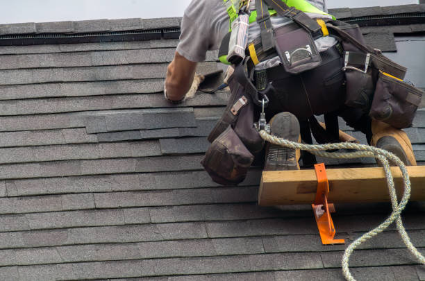 Professional Roofing Contractor in Lafayette, CO