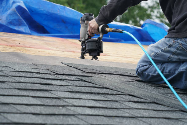 Professional Roofing Contractor in Lafayette, CO